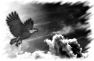oiseau-38