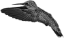 oiseau-47