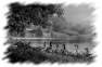 oiseau-62