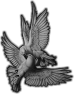oiseau-68