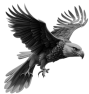 oiseau-77