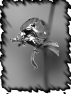 papillon-5