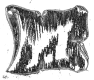 parchemin-3
