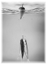 peche-13