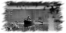peche-17