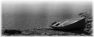 peche-27