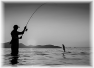 peche-31