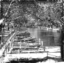 riviere-3