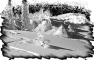 ski-4