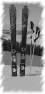 ski-9