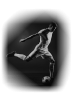 sport-110