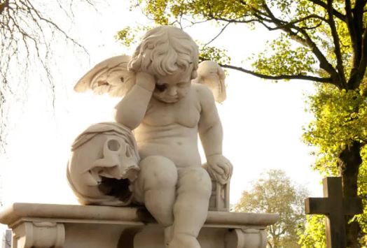 Visite du cimetière à Lille