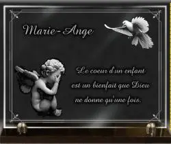 Colombe pour tombe enfant + ange