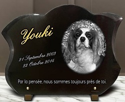 Chien Cavalier King Charles Spaniel, dorure, granit galbé