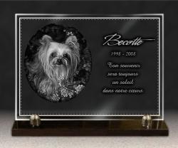 chien, Yorkshire Terrier, verre Ref : 90