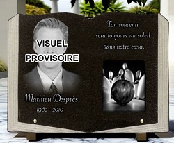 portrait photo, bowling, livre en granit