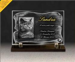 Plaques funéraires personnalisées chat, parchemin, dorure, verre Ref : 189
