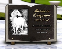 forme livre, Cheval Ref : 202