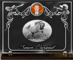 Plaque de tombe verre, cheval, colombe, photo porcelaine, médaillon funéraire Ref : 209
