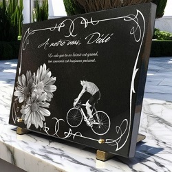 Fleurs gerberas, bouquet, cycliste vélo, bordure décorative, granit