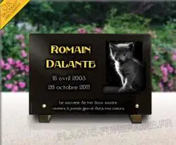 Plaque funeraire Chats, chaton, animaux