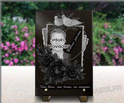Plaque  scrapbooking-colombes-roses