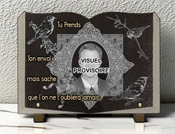 Dorure, photo portrait, livre, oiseau, granit, scrapbooking  Ref : 350