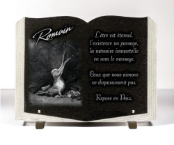 chasseur, livre, lapin lièvre, granit