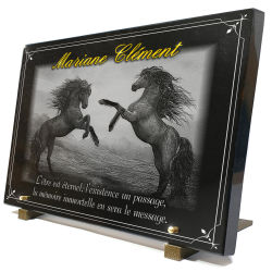 Plaque funéraire chevaux cheval, dorure, bordure décorative, granit Ref : 479