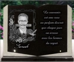 livre granit socle fleurs oiseau photo portrait