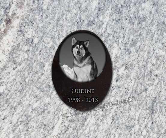 Plaque funeraire chien ovale granit à coller