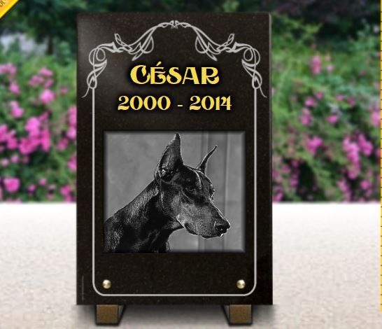Plaque funeraire chien Dobermann gravé sur granit