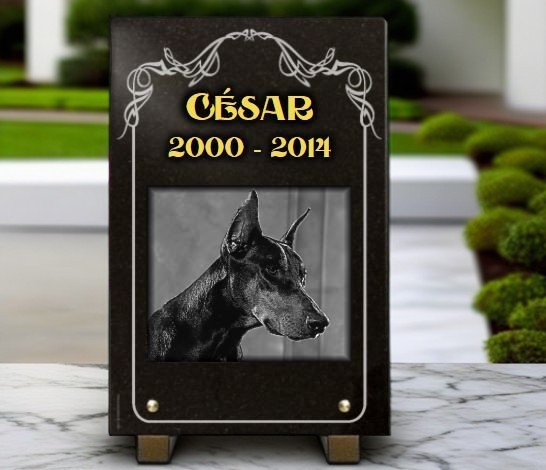 Plaque funeraire chien Dobermann gravé sur granit