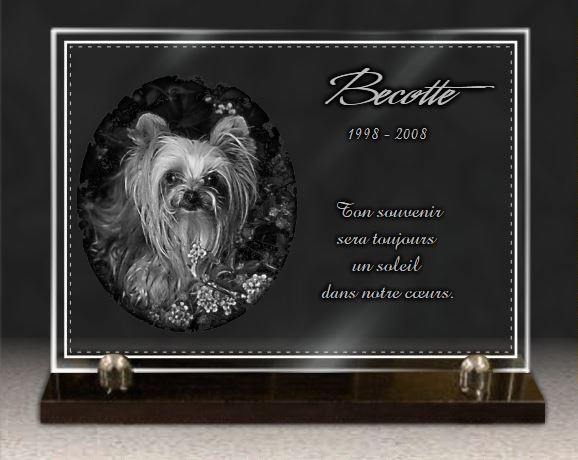 Piquet ou Plaque Funéraire Personnalisable Chat Chien - Plaque  commémorative pour Animal - Plaque Funéraire personnalisée Chat Chien -  Texte