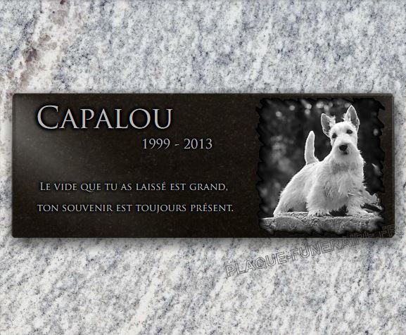 Recherchez-vous une plaque commémorative 'Chien' pour un prix