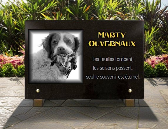 Plaque funeraire chien de chasse en granit gravé