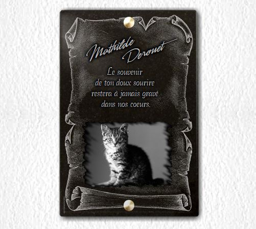 Plaque et pieu commémoratifs de chat personnalisés pour votre photo.  Imperméable, pour jardin etc.