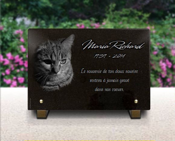Plaque funéraire chat, en granit gravé