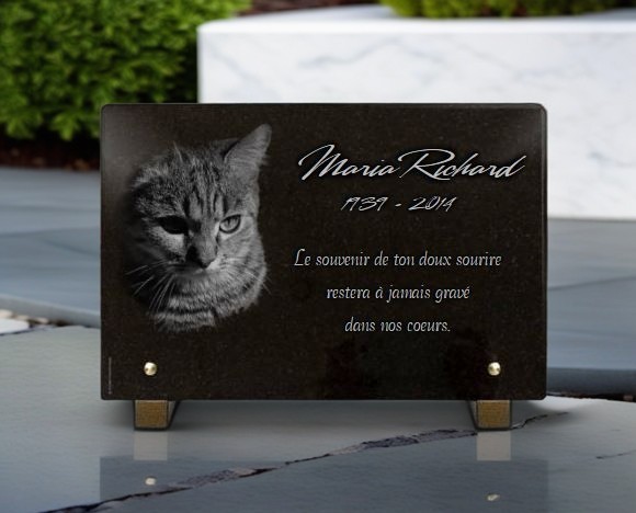 Plaque funéraire chat, en granit gravé