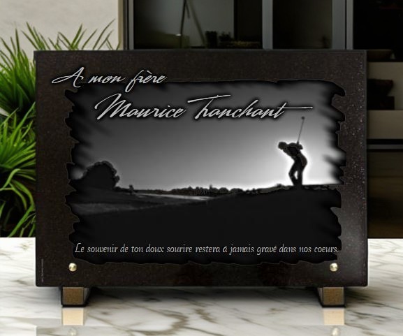 Plaque funeraire personnalisée golfeur