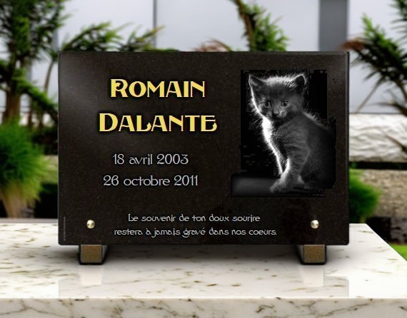 Plaque funéraire chaton - RENAUD Gravure