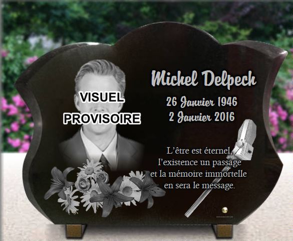 Plaque funéraire chanteur Michel Delpech fleurs micro - RENAUD Gravure