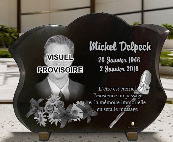 Plaque funéraire chanteur Michel Delpech fleurs micro - RENAUD Gravure