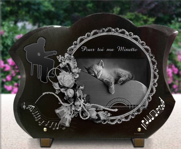 Plaque funéraire chaton, guitare et fleurs - RENAUD Gravure