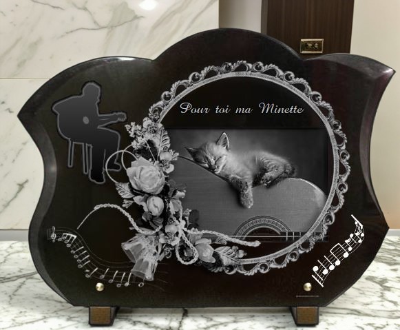 Plaque funéraire chaton, guitare et fleurs - RENAUD Gravure