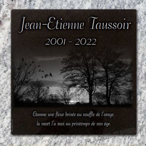 Plaque funéraire en granit gravé pour columbarium