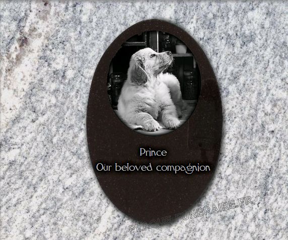 Memorial plaque granite . 30 x 20 cm.