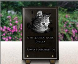 Placa funeraria vertical, pedestales metal. Doble ribete. Gato