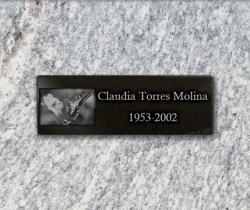 Placa para personalizar granit