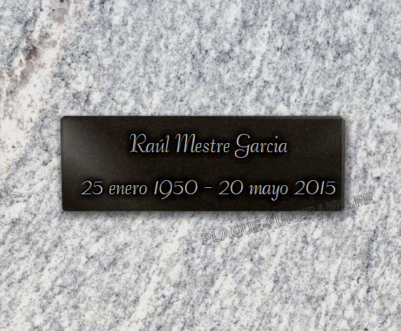 PLACA FUNERARIA granito  . 10 x 30 cm.